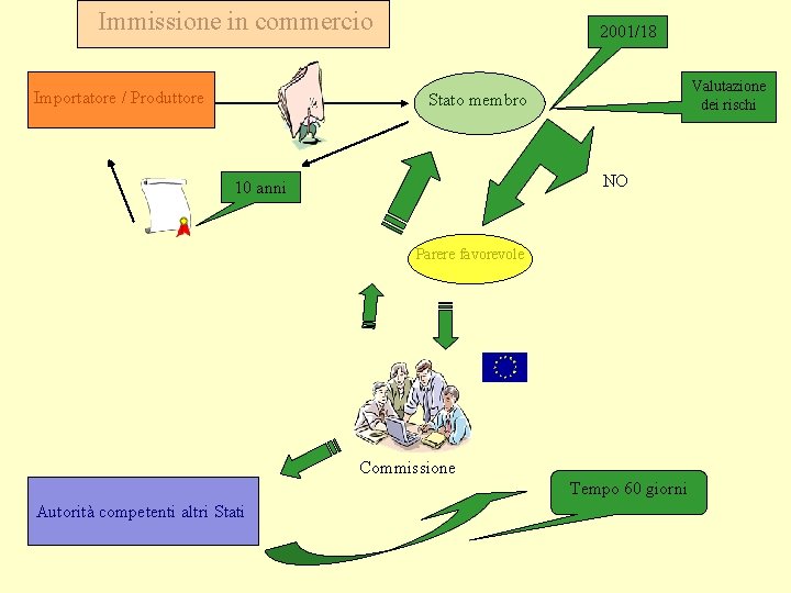 Immissione in commercio Importatore / Produttore 2001/18 Valutazione dei rischi Stato membro NO 10