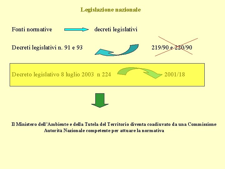 Legislazione nazionale Fonti normative decreti legislativi Decreti legislativi n. 91 e 93 Decreto legislativo