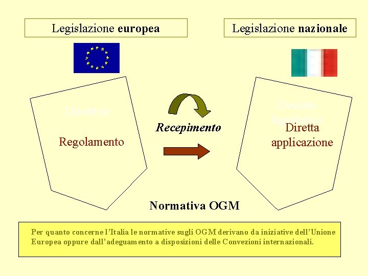 Legislazione europea Legislazione nazionale Direttiva Recepimento Regolamento Decreto legislativo Diretta applicazione Normativa OGM Per
