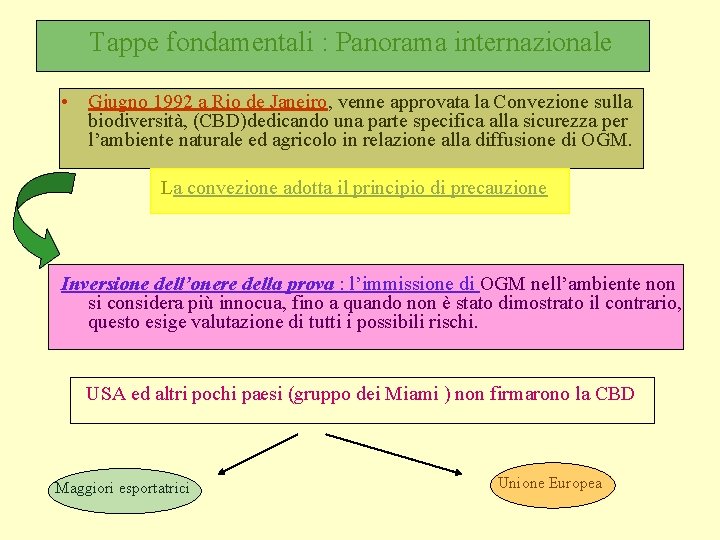 Tappe fondamentali : Panorama internazionale • Giugno 1992 a Rio de Janeiro, venne approvata