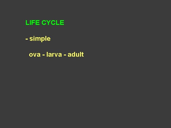 LIFE CYCLE - simple ova - larva - adult 