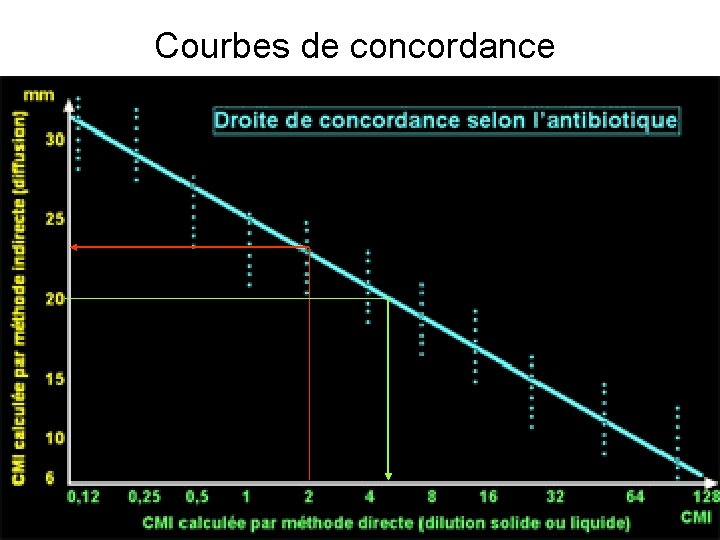 Courbes de concordance 13 