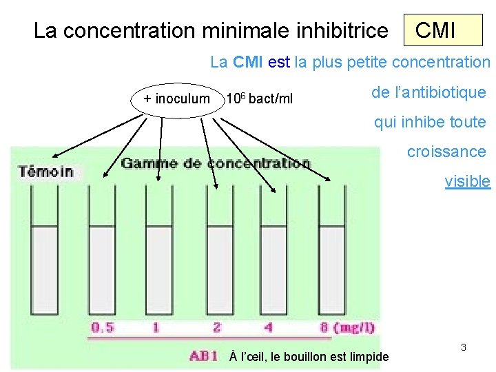 La concentration minimale inhibitrice CMI La CMI est la plus petite concentration + inoculum