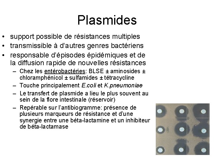 Plasmides • support possible de résistances multiples • transmissible à d’autres genres bactériens •