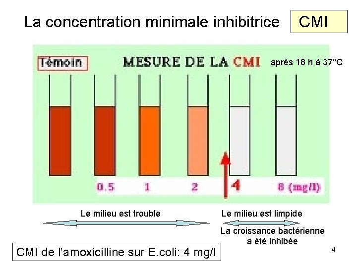 La concentration minimale inhibitrice CMI après 18 h à 37°C Le milieu est trouble