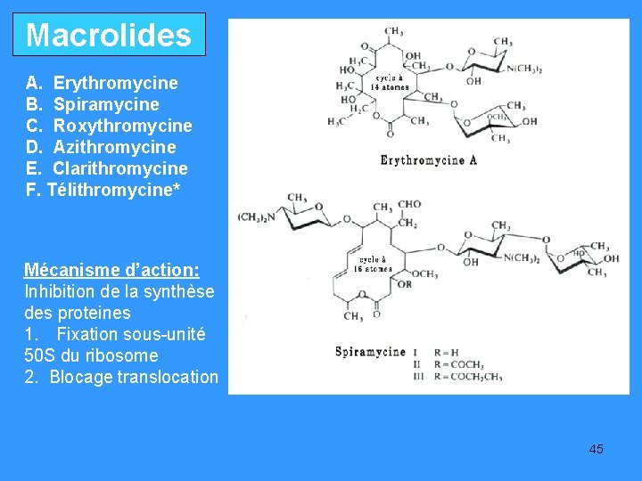 Macrolides A. Erythromycine B. Spiramycine C. Roxythromycine D. Azithromycine E. Clarithromycine F. Télithromycine* Mécanisme