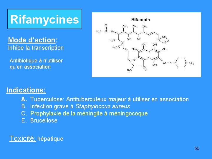 Rifamycines Mode d’action: Inhibe la transcription Antibiotique à n’utiliser qu’en association Indications: A. B.