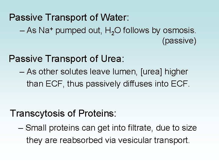 Passive Transport of Water: – As Na+ pumped out, H 2 O follows by