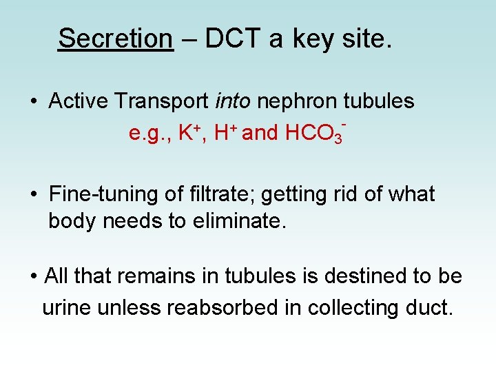 Secretion – DCT a key site. • Active Transport into nephron tubules + +