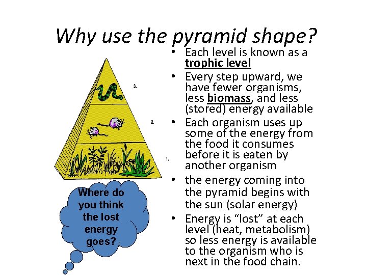 Why use the pyramid shape? Where do you think the lost energy goes? •