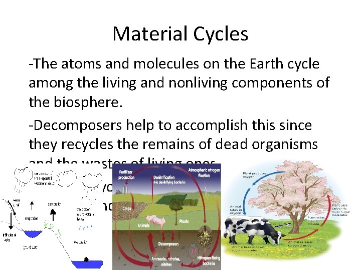 Material Cycles -The atoms and molecules on the Earth cycle among the living and