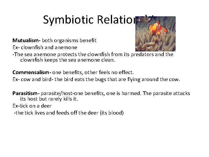 Symbiotic Relationships Mutualism- both organisms benefit Ex- clownfish and anemone -The sea anemone protects