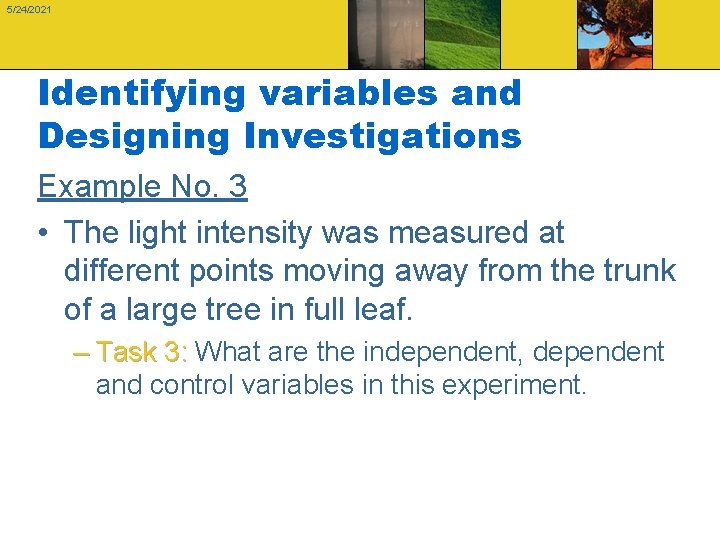 5/24/2021 Identifying variables and Designing Investigations Example No. 3 • The light intensity was