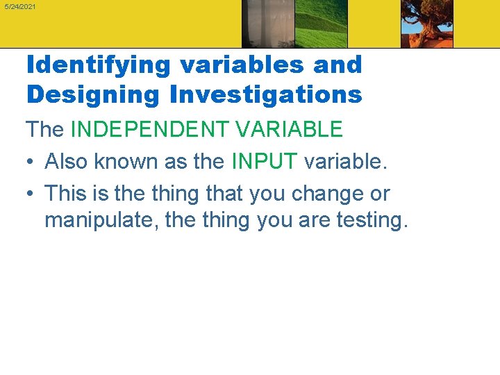 5/24/2021 Identifying variables and Designing Investigations The INDEPENDENT VARIABLE • Also known as the