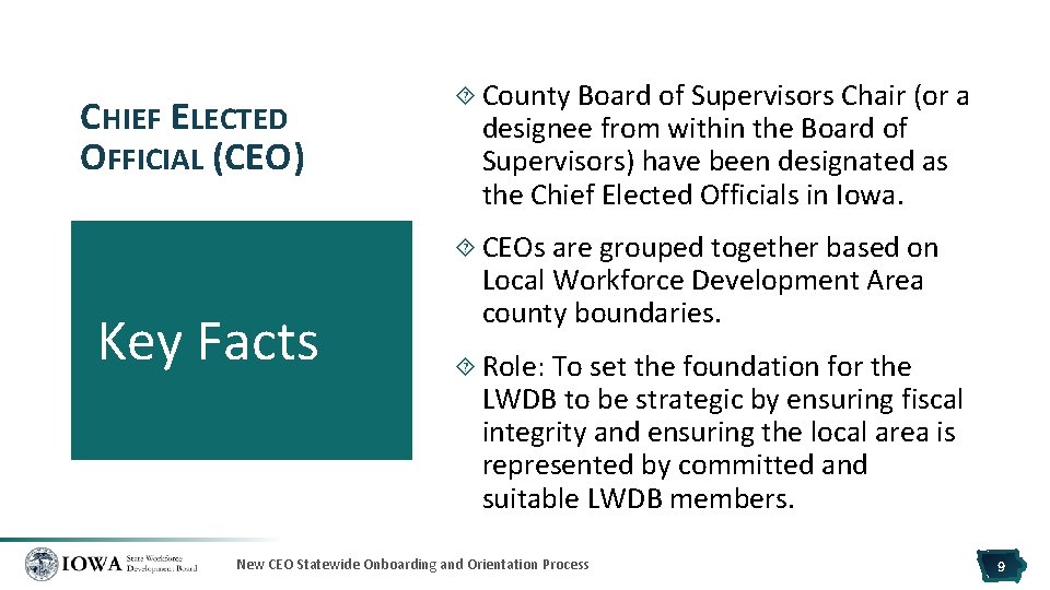 CHIEF ELECTED OFFICIAL (CEO) County Board of Supervisors Chair (or a designee from within