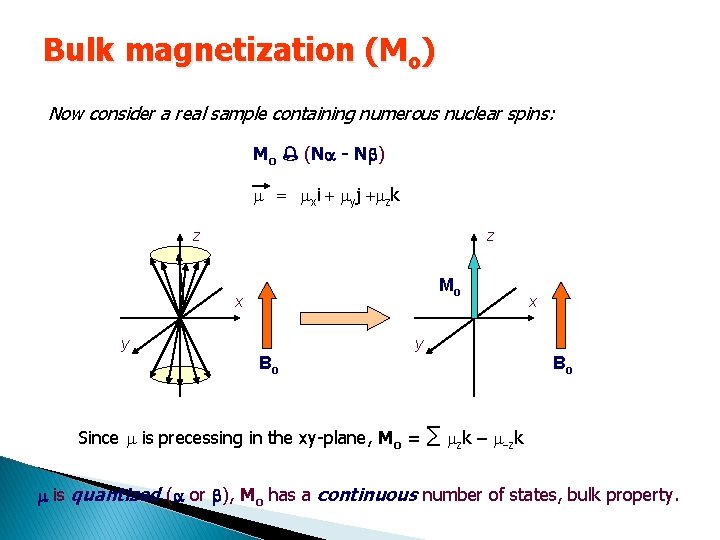 Bulk magnetization (Mo) Now consider a real sample containing numerous nuclear spins: Mo %