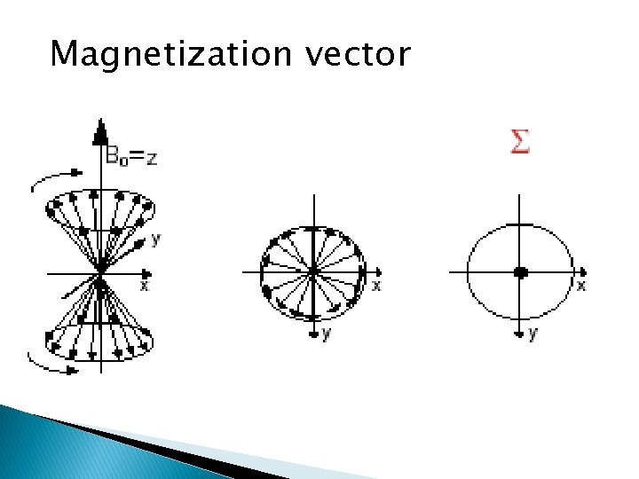 Magnetization vector 