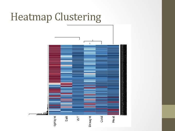 Heatmap Clustering 