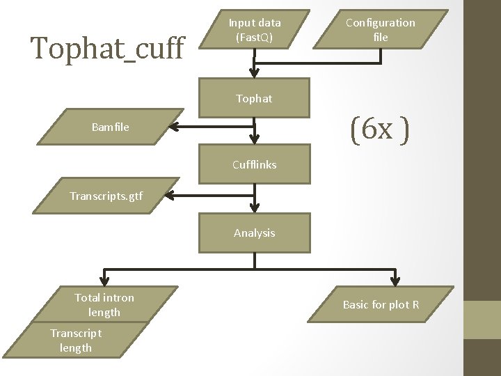 Tophat_cuff Input data (Fast. Q) Configuration file Tophat (6 x ) Bamfile Cufflinks Transcripts.