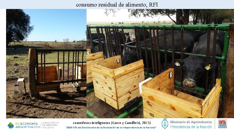 consumo residual de alimento, RFI comederos inteligentes (Garro y Camilletti, 2015) “ 2016 Año