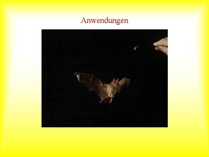 Anwendungen 