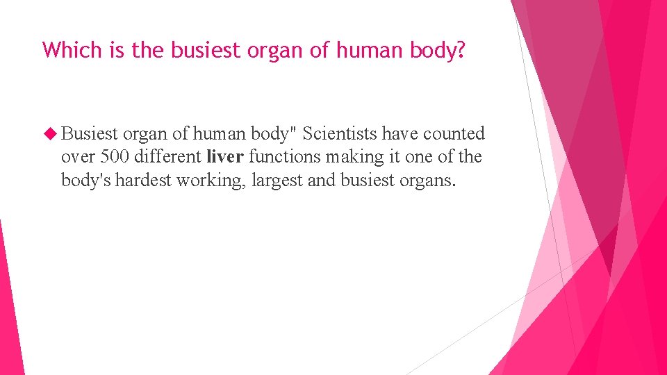 Which is the busiest organ of human body? Busiest organ of human body" Scientists