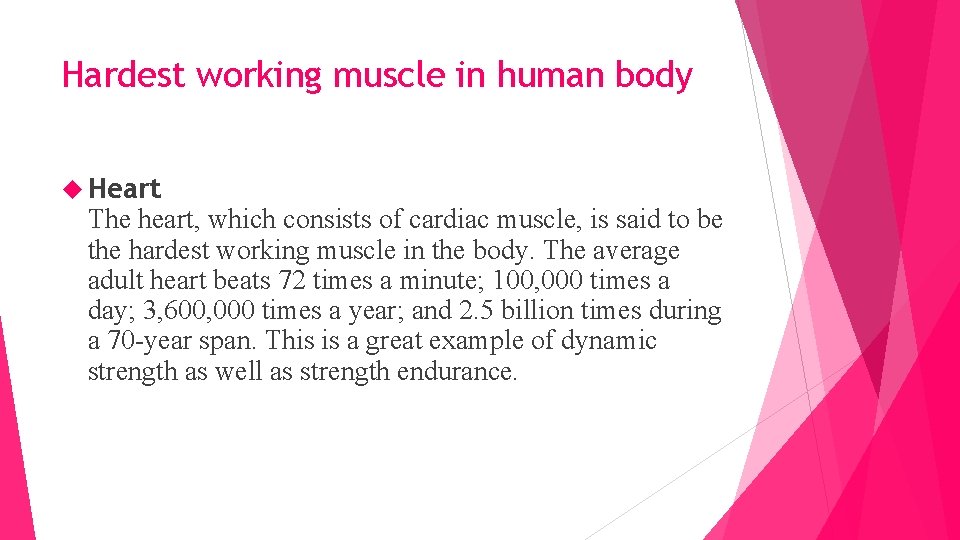 Hardest working muscle in human body Heart The heart, which consists of cardiac muscle,
