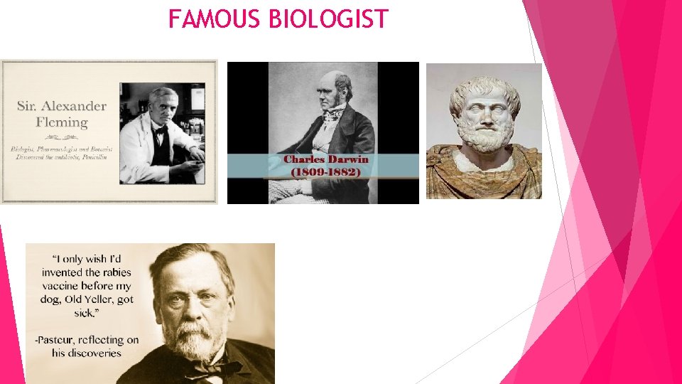 FAMOUS BIOLOGIST 