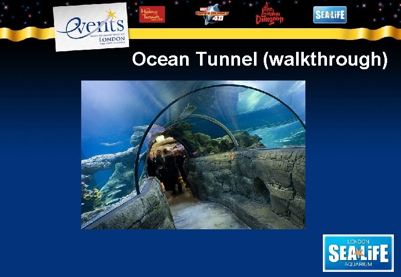 Ocean Tunnel (walkthrough) 