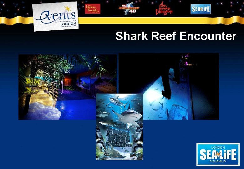 Shark Reef Encounter 