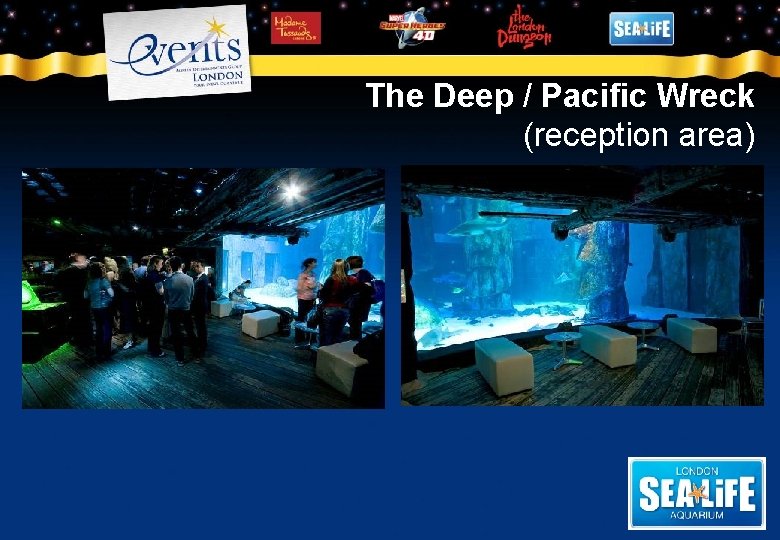 The Deep / Pacific Wreck (reception area) 