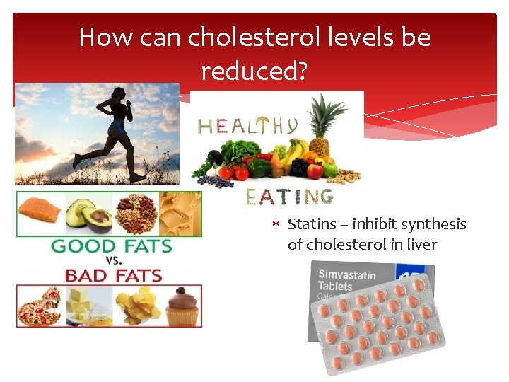 How can cholesterol levels be reduced? Statins – inhibit synthesis of cholesterol in liver
