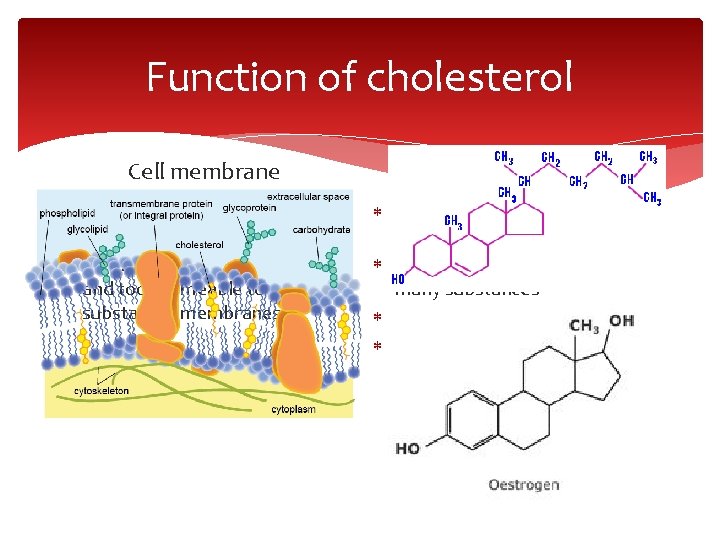 Function of cholesterol Cell membrane Major component of cell Without cholesterol membranes would be