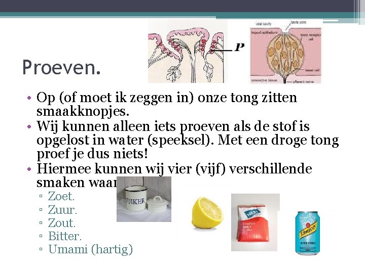 Proeven. • Op (of moet ik zeggen in) onze tong zitten smaakknopjes. • Wij