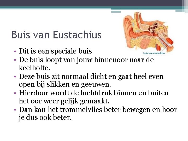 Buis van Eustachius • Dit is een speciale buis. • De buis loopt van