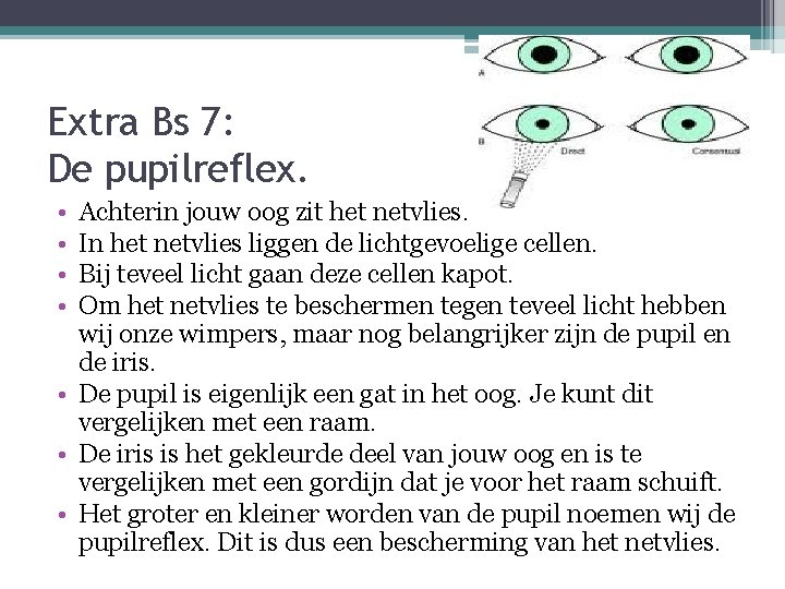 Extra Bs 7: De pupilreflex. • • Achterin jouw oog zit het netvlies. In