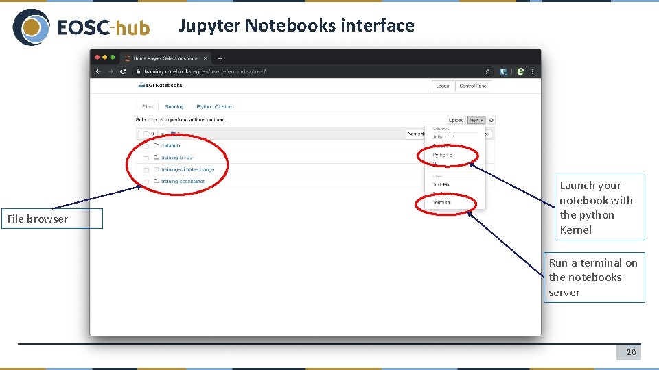 Jupyter Notebooks interface File browser Launch your notebook with the python Kernel Run a