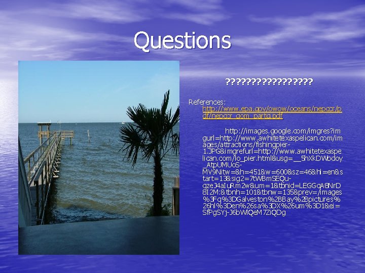 Questions ? ? ? ? ? References: http: //www. epa. gov/owow/oceans/nepccr/p df/nepccr_gom_partg. pdf http: