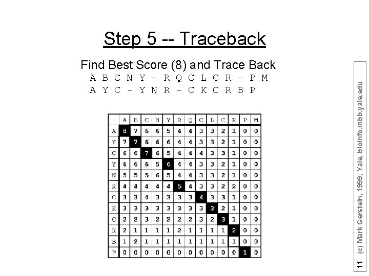 Step 5 -- Traceback A B C N Y - R Q C L