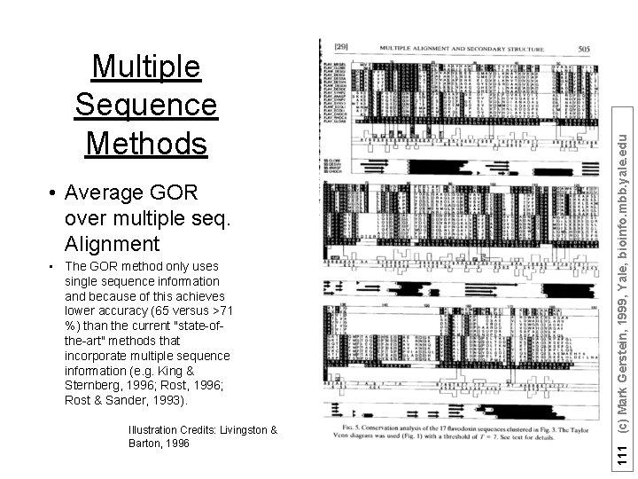  • Average GOR over multiple seq. Alignment • The GOR method only uses