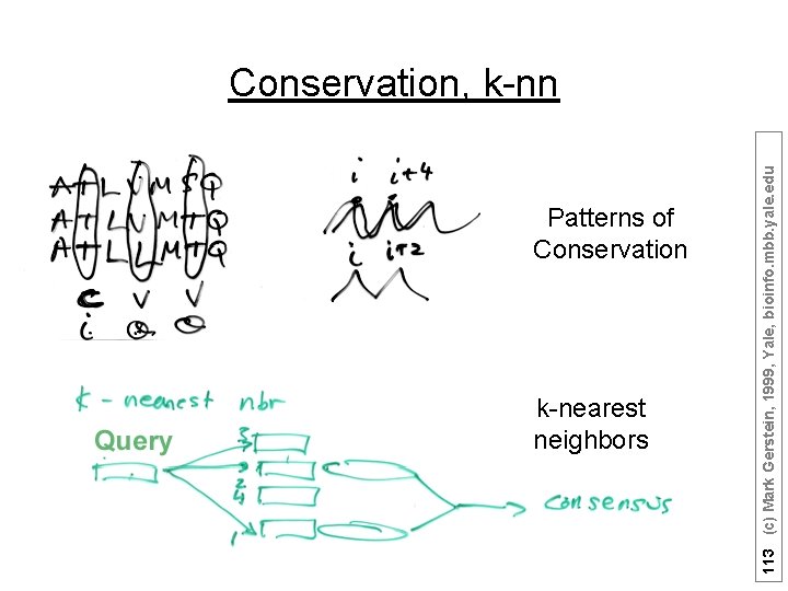 Patterns of Conservation k-nearest neighbors 113 (c) Mark Gerstein, 1999, Yale, bioinfo. mbb. yale.