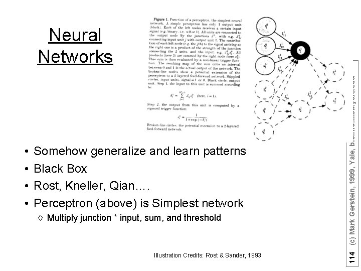  • • Somehow generalize and learn patterns Black Box Rost, Kneller, Qian…. Perceptron