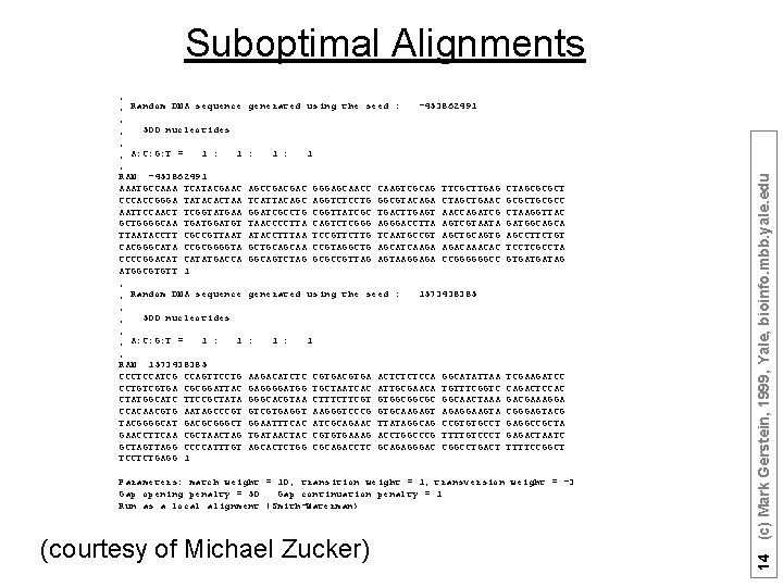 Suboptimal Alignments generated using the seed : : 1 AGCCGACGAC TCATTACAGC GGATCGCCTG TAACCCCTTA ATACCTTTAA