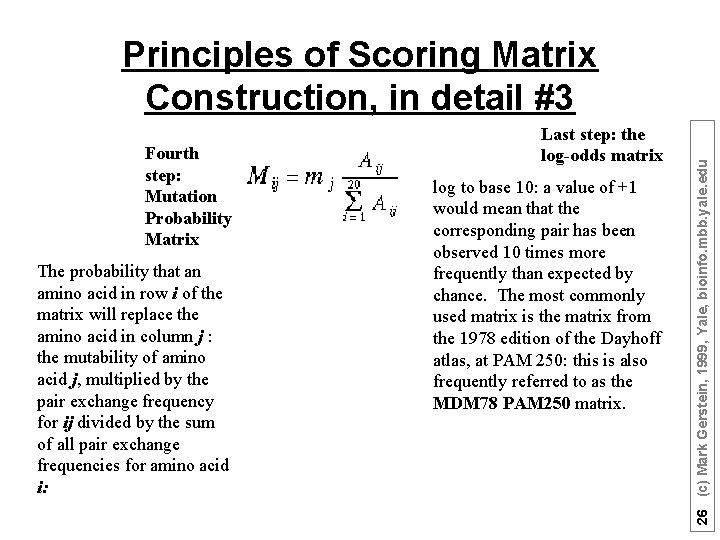 Fourth step: Mutation Probability Matrix The probability that an amino acid in row i