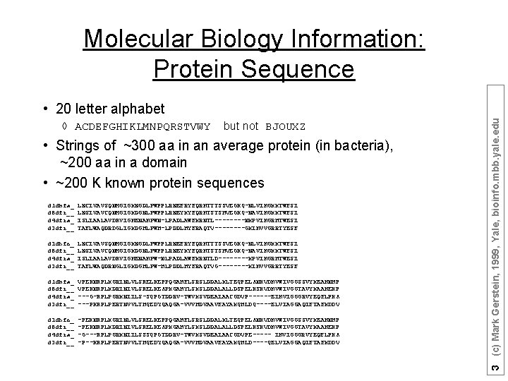 Molecular Biology Information: Protein Sequence à ACDEFGHIKLMNPQRSTVWY but not BJOUXZ • Strings of ~300