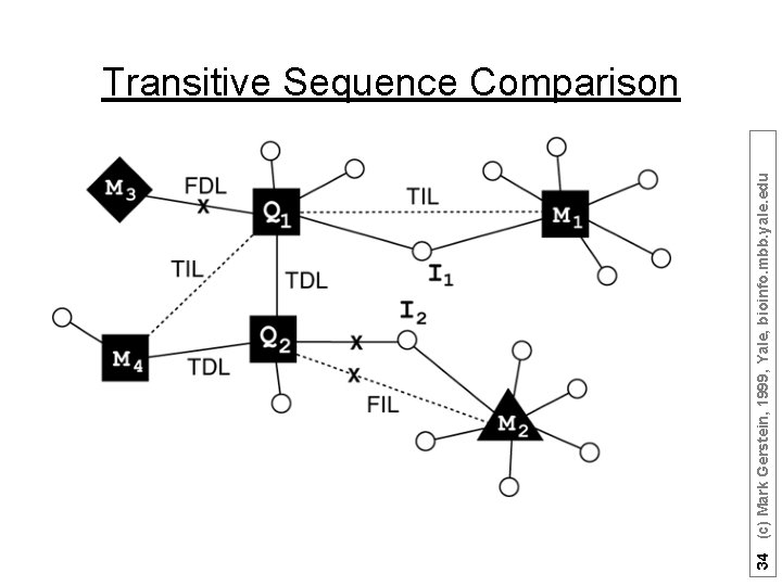 34 (c) Mark Gerstein, 1999, Yale, bioinfo. mbb. yale. edu Transitive Sequence Comparison 