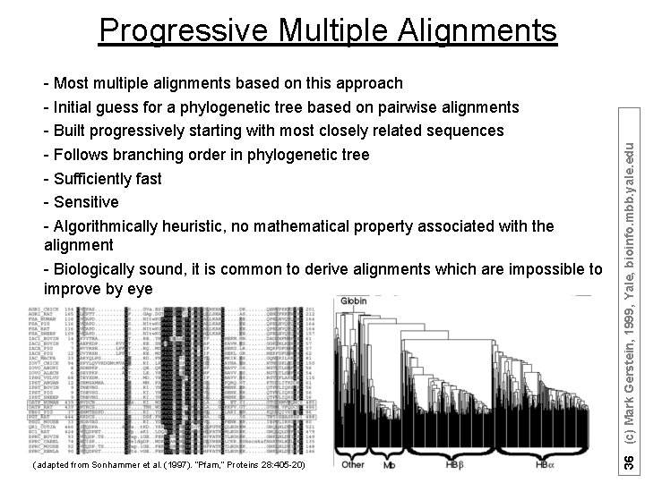 - Most multiple alignments based on this approach - Initial guess for a phylogenetic