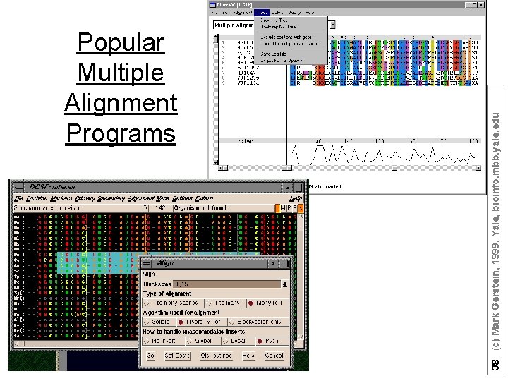 38 (c) Mark Gerstein, 1999, Yale, bioinfo. mbb. yale. edu Popular Multiple Alignment Programs