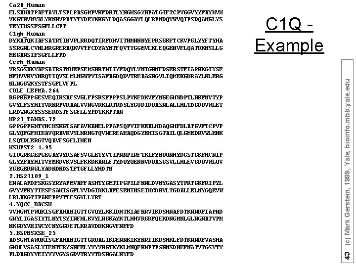 C 1 Q Example 43 (c) Mark Gerstein, 1999, Yale, bioinfo. mbb. yale. edu