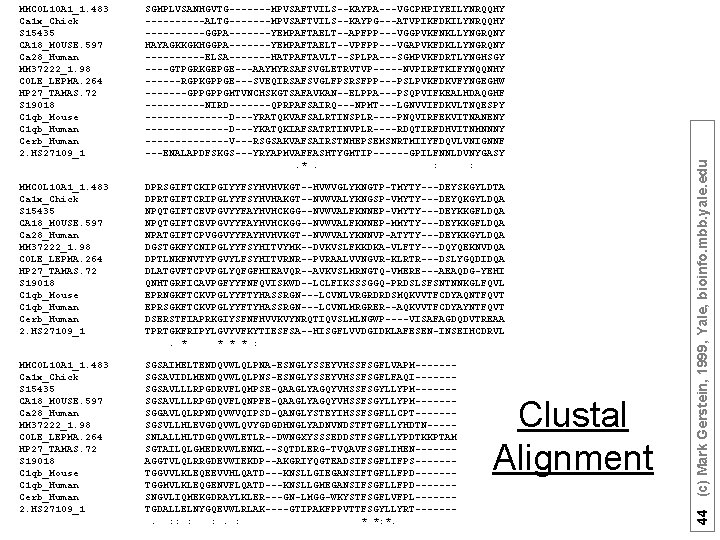 SGMPLVSANHGVTG-------MPVSAFTVILS--KAYPA---VGCPHPIYEILYNRQQHY -----ALTG-------MPVSAFTVILS--KAYPG---ATVPIKFDKILYNRQQHY -----GGPA-------YEMPAFTAELT--APFPP---VGGPVKFNKLLYNGRQNY HAYAGKKGKHGGPA-------YEMPAFTAELT--VPFPP---VGAPVKFDKLLYNGRQNY -----ELSA-------HATPAFTAVLT--SPLPA---SGMPVKFDRTLYNGHSGY ----GTPGRKGEPGE---AAYMYRSAFSVGLETRVTVP-----NVPIRFTKIFYNQQNHY ------RGPKGPPGE---SVEQIRSAFSVGLFPSRSFPP---PSLPVKFDKVFYNGEGHW -------GPPGPPGMTVNCHSKGTSAFAVKAN--ELPPA---PSQPVIFKEALHDAQGHF -----NIRD-------QPRPAFSAIRQ---NPMT---LGNVVIFDKVLTNQESPY -------D---YRATQKVAFSALRTINSPLR----PNQVIRFEKVITNANENY -------D---YKATQKIAFSATRTINVPLR----RDQTIRFDHVITNMNNNY -------V---RSGSAKVAFSAIRSTNHEPSEMSNRTMIIYFDQVLVNIGNNF ---ENALAPDFSKGS---YRYAPMVAFFASHTYGMTIP------GPILFNNLDVNYGASY. *.